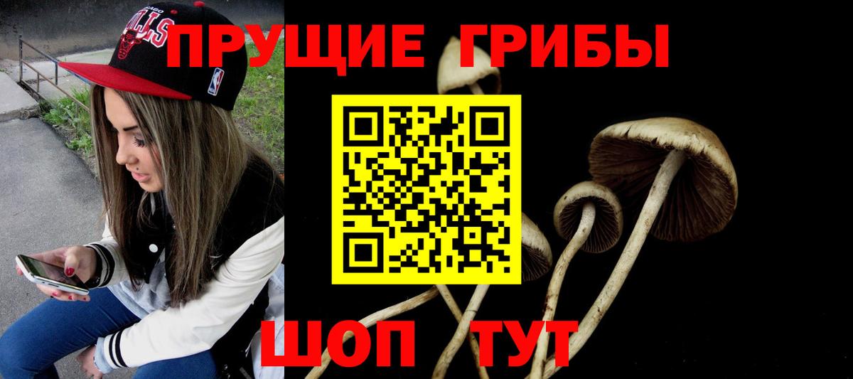 Саратов  Галлюциногенные грибы Psilocybe  дарнет шоп  Вход с VPN  Галлюциногенные грибы ЛСД 